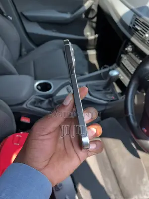 Apple iPhone 15 Pro Max 512 GB Gray