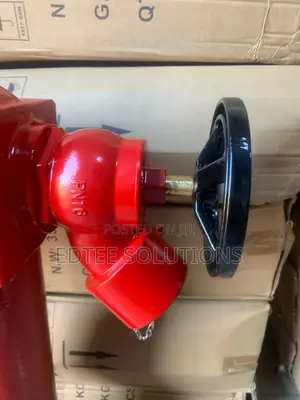 4” British Standard BS-750 2 Way(2.5”) Pillar Hydrant LPCB Approved