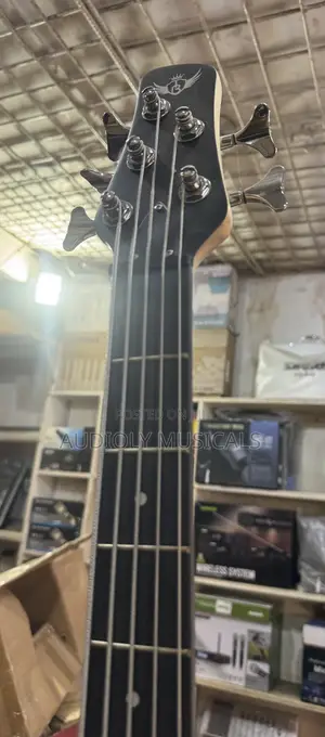 Black Ibanez Passive Guitar