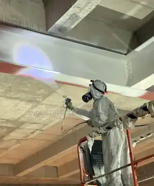 Disperlith Industry Anti-Humidity Hygienic Sanitary Paint