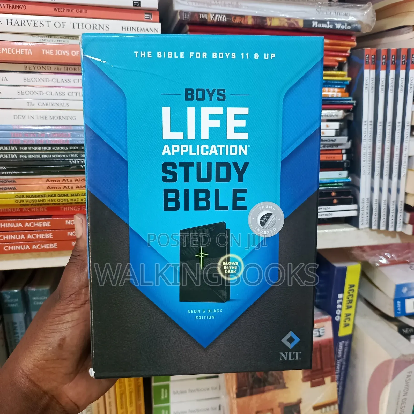 The Boys Life Application Study Bible (NLT)