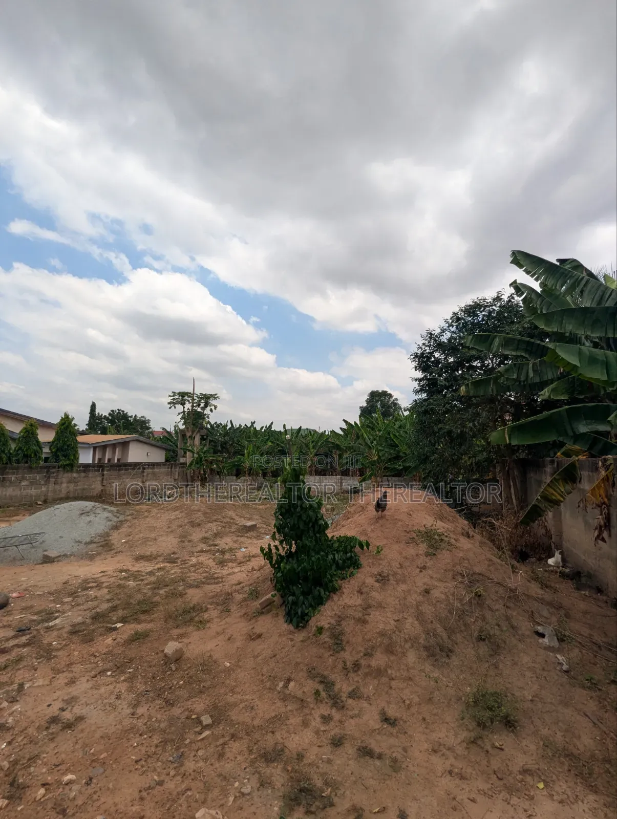 One Plot for Sale