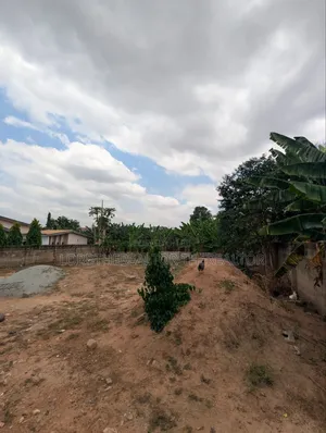 One Plot for Sale