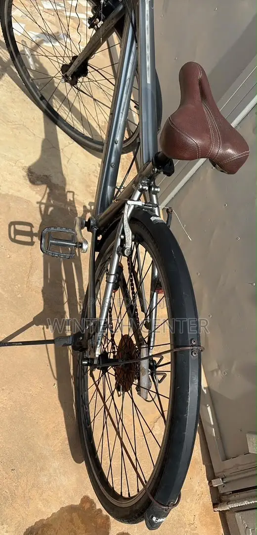 Metallic Grey “CORTEZ” City Bicycle