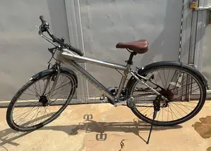 Metallic Grey “CORTEZ” City Bicycle