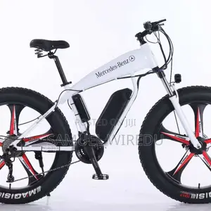 Brandnew Benz Ebike