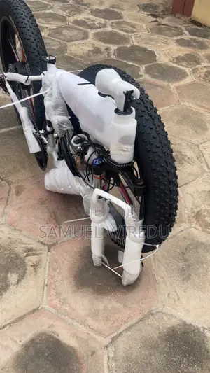 Brandnew Benz Ebike