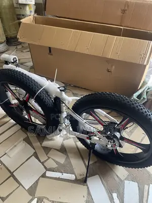 Brandnew Benz Ebike