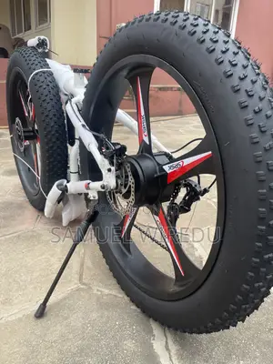 Brandnew Benz Ebike