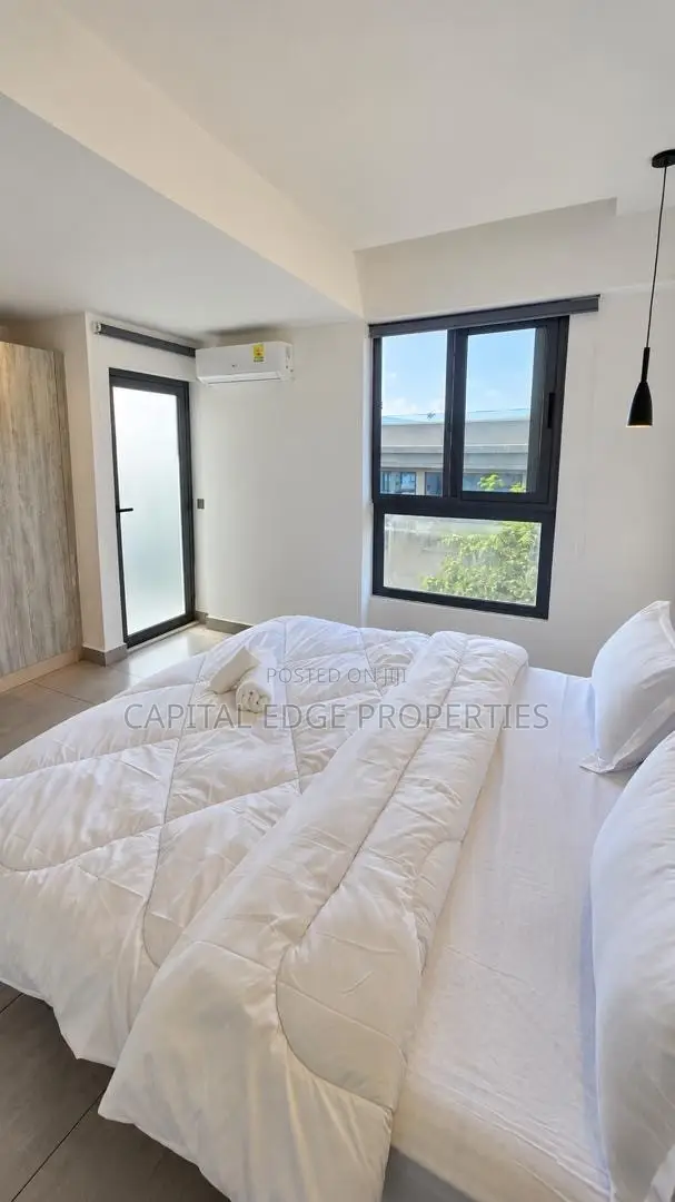 Furnished 2bdrm Apartment in East Legon for rent