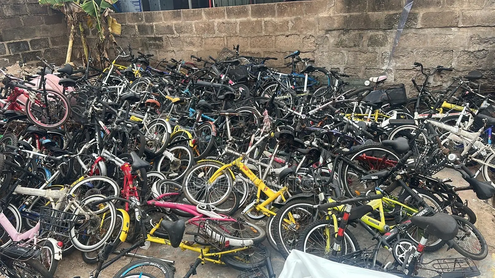 Bicycles Wholesale
