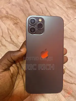 Apple iPhone 12 Pro Max 128 GB Black