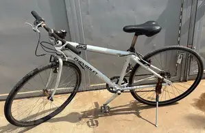 White Chevrolet Bicycle
