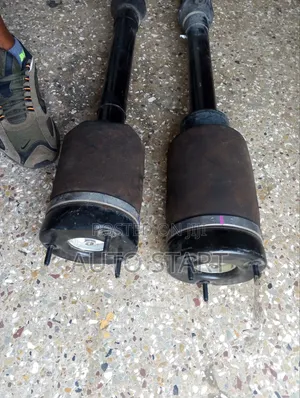 1Benz W164 Front Shocks