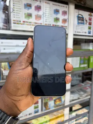 Apple iPhone 15 Pro Max 256 GB Gray