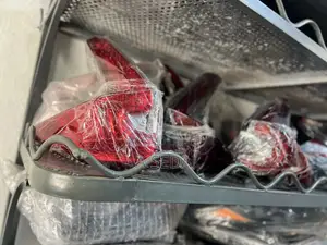 Honda CRV Taillight Llight 2023 2024 2025 2026 Call