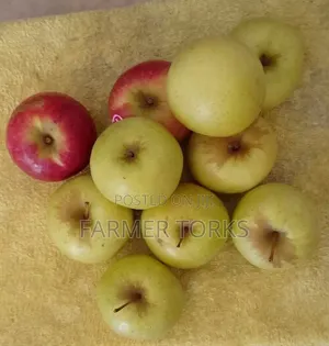 Apple (6 Pieces)