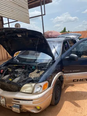 Chevrolet Trans Sport 2004 Blue