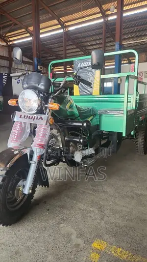 New Luojia Motorized Tricycle 2026