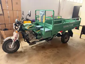 New Luojia Motorized Tricycle 2026