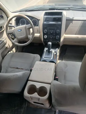 Ford Escape 2009 Gray
