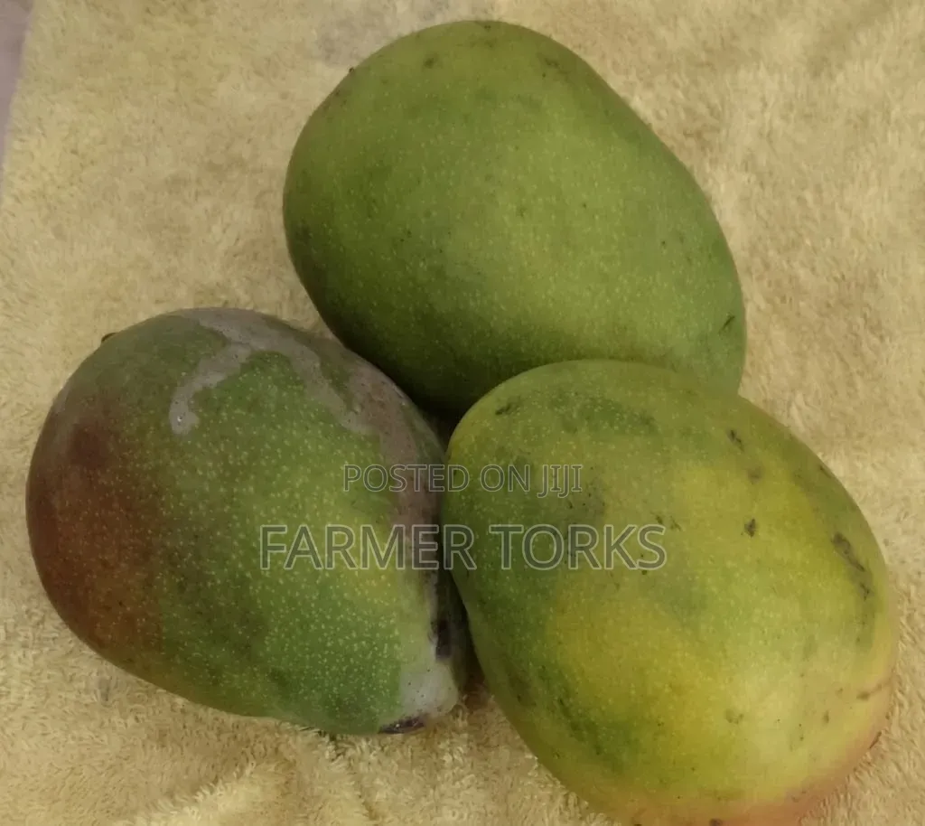 Salon Mango
