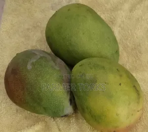 Salon Mango