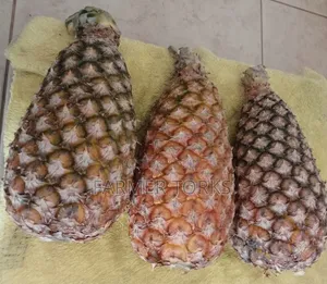 Pineapple Friut