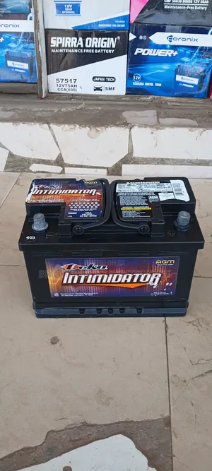 AGM Battery