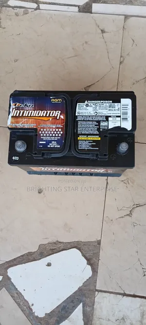 AGM Battery