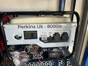 Home Power Solutuon 7.0kva Perkins Petrol Generator