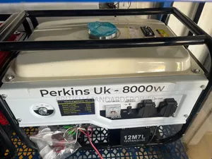 Home Power Solutuon 7.0kva Perkins Petrol Generator