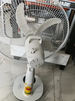 Elegant Cooling: H & a Stand Fan Collection