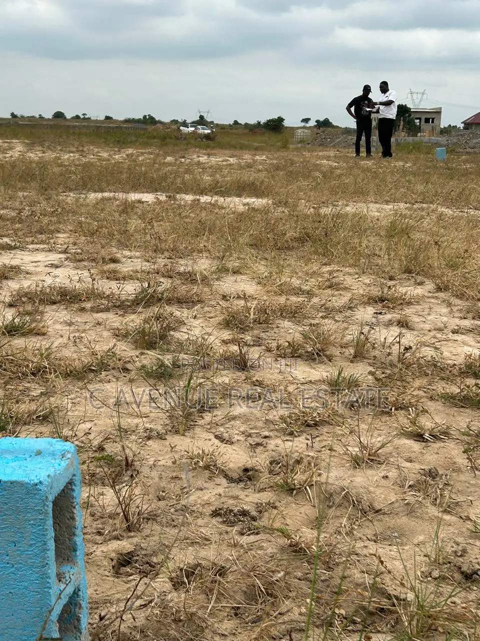 Invest in Land, Build for the Future