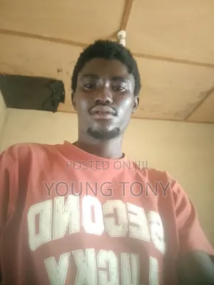 Housekeeper or Any Work With Accomodation