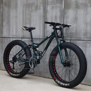Fat Tire Bike