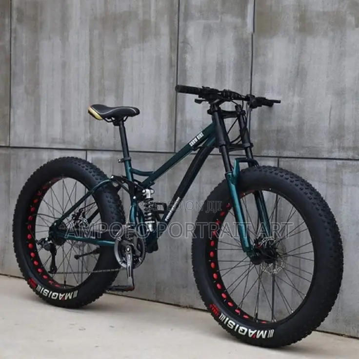 Fat Tire Bike