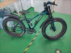 Fat Tire Bike