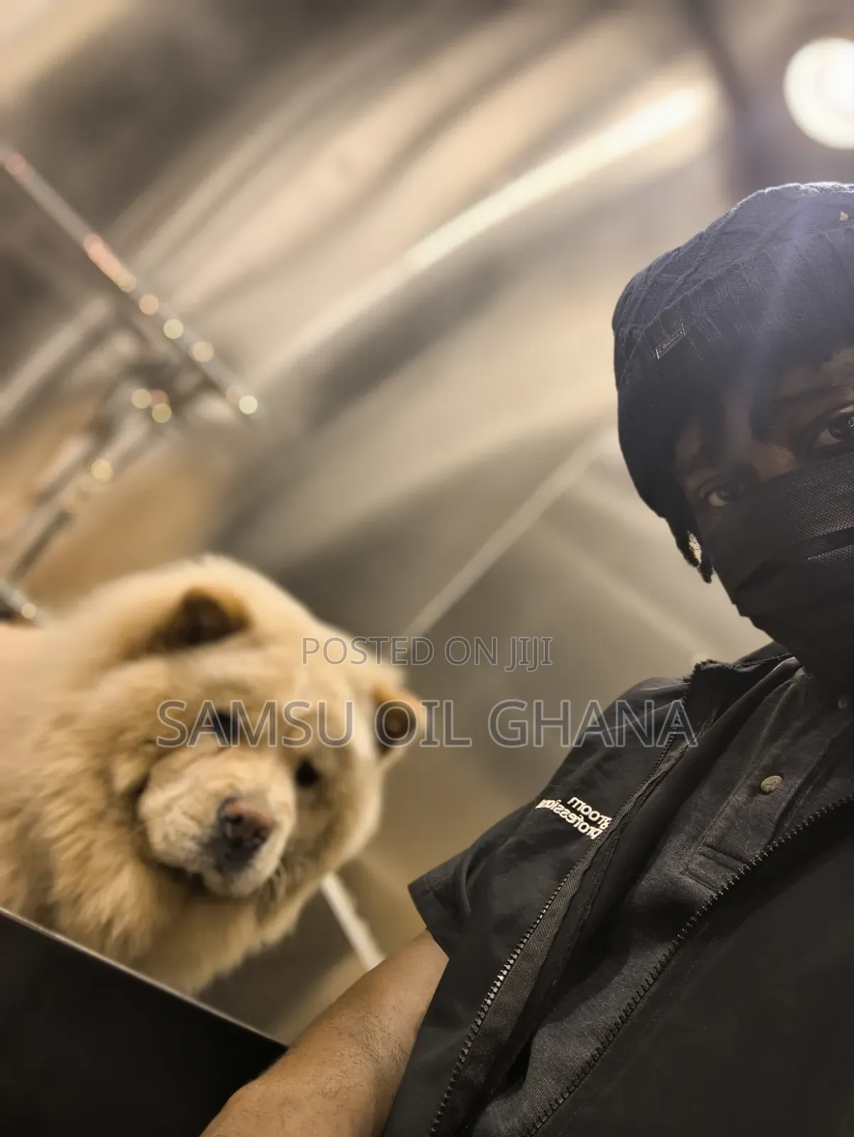Pet Grooming in Accra Ghana | Dogs & Cats