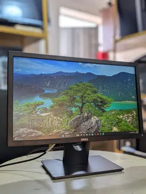Dell E2216