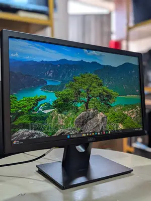 Dell E2216