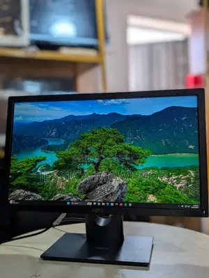 Dell E2216