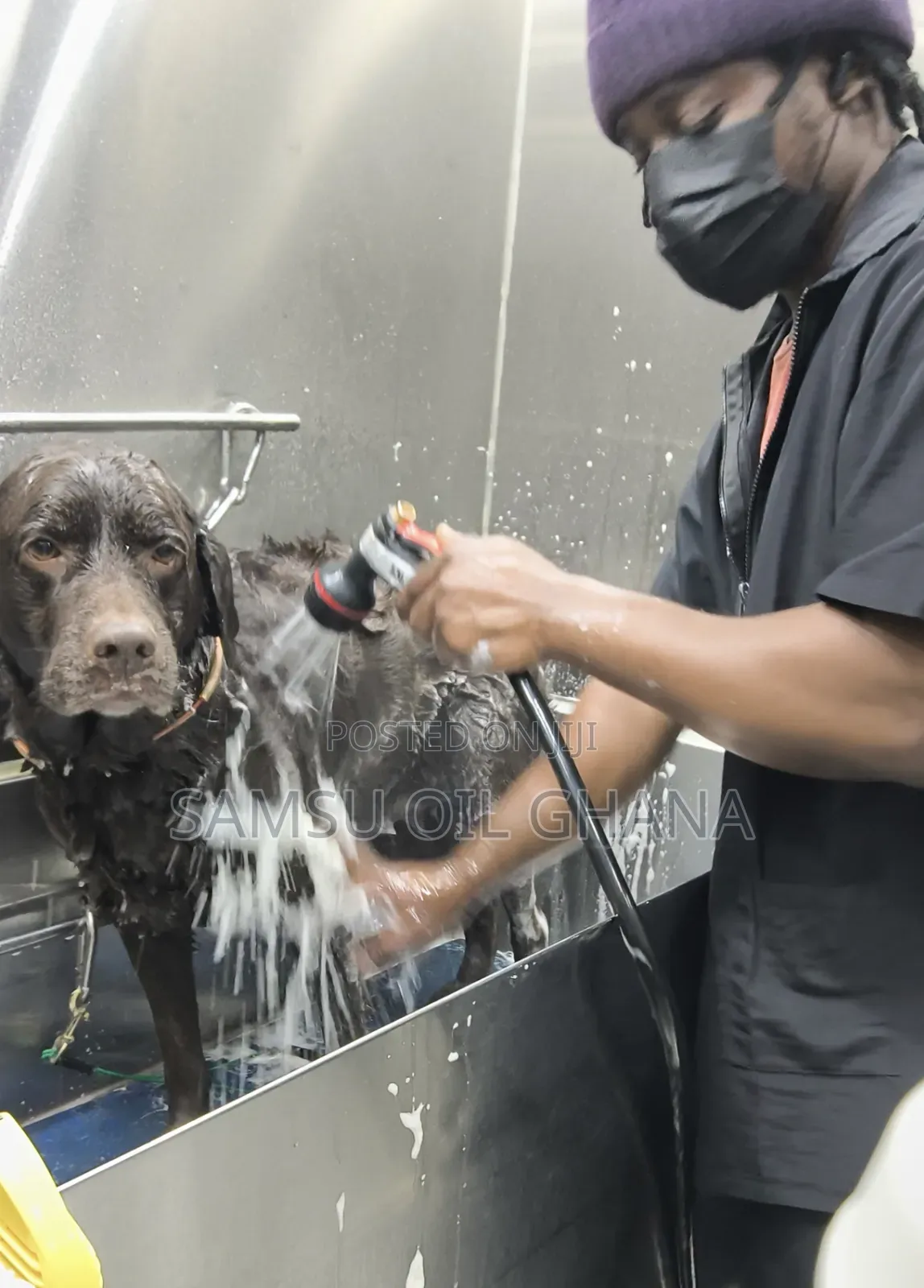 Dog Grooming Home Service in Accra Ghana