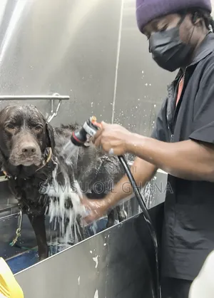 Dog Grooming Home Service in Accra Ghana