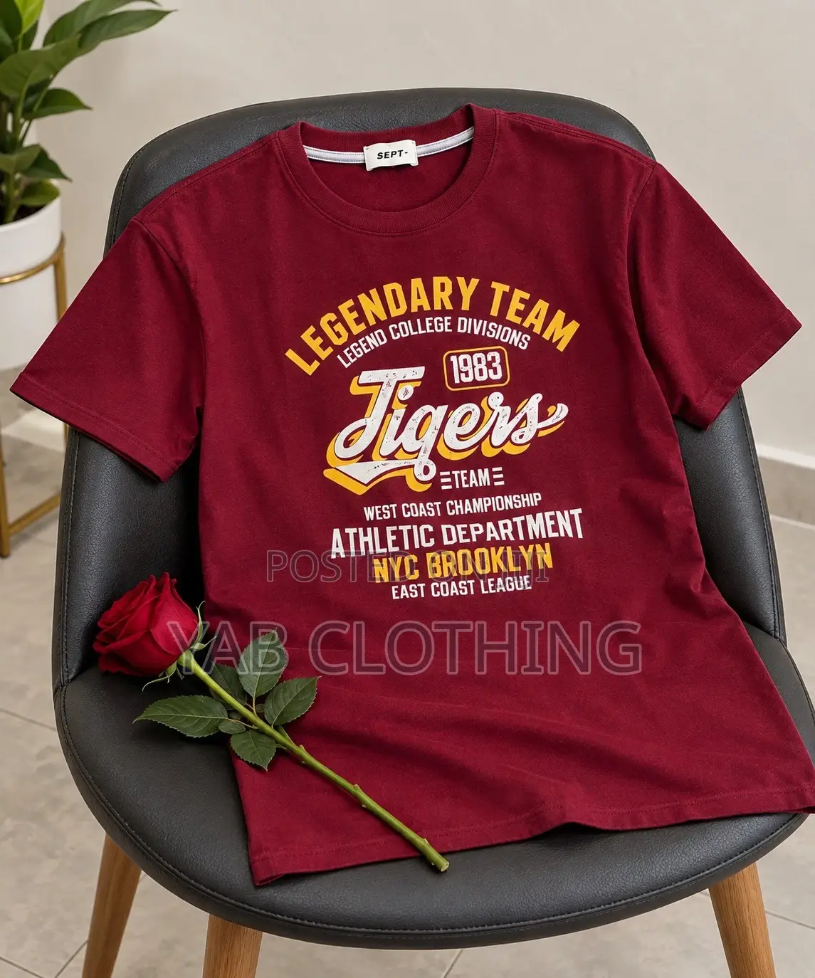 Men’s Quality Graphic T-Shirts – Multiple Designs