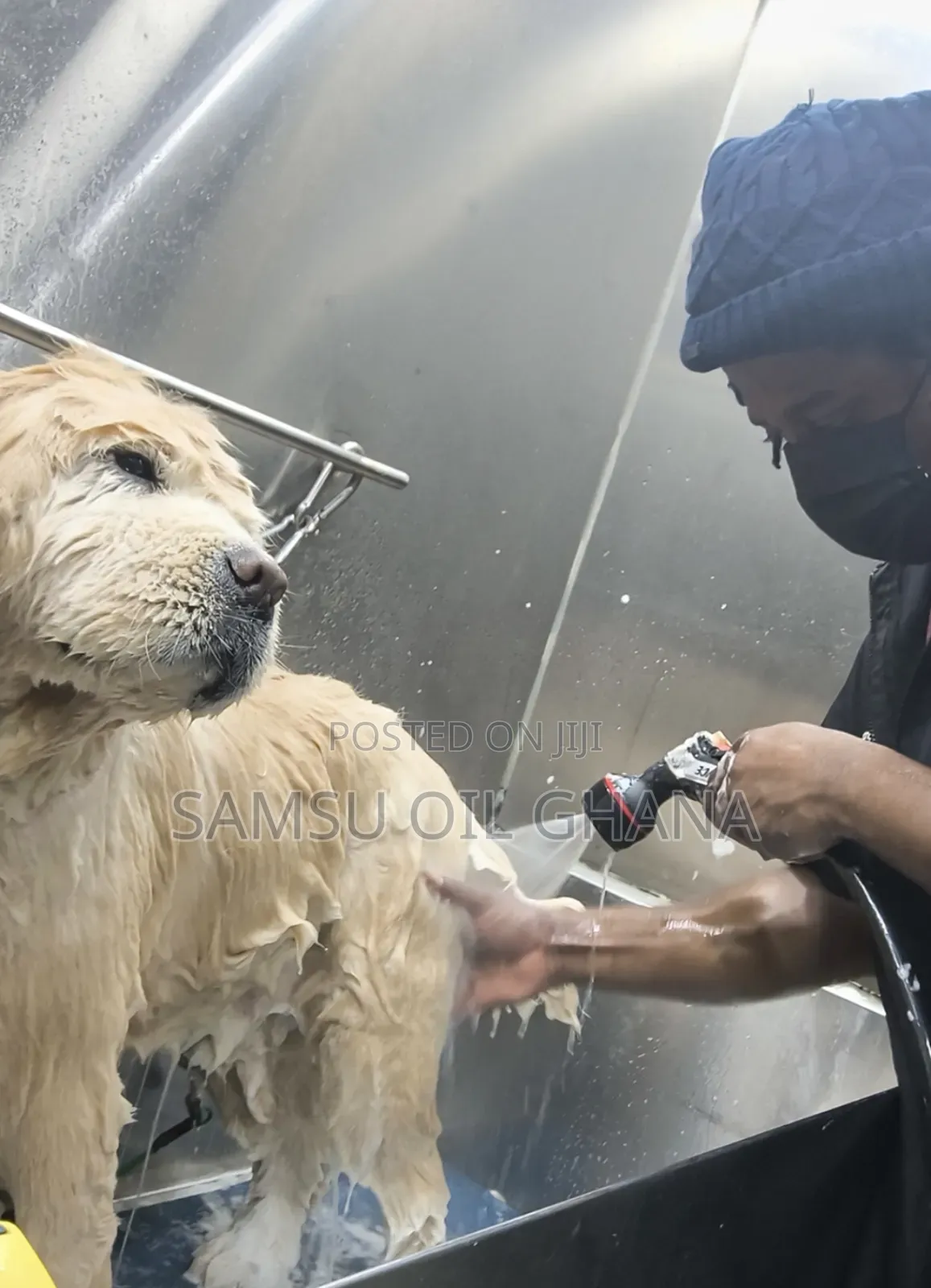 Pet Grooming in Accra Ghana | Dogs & Cats