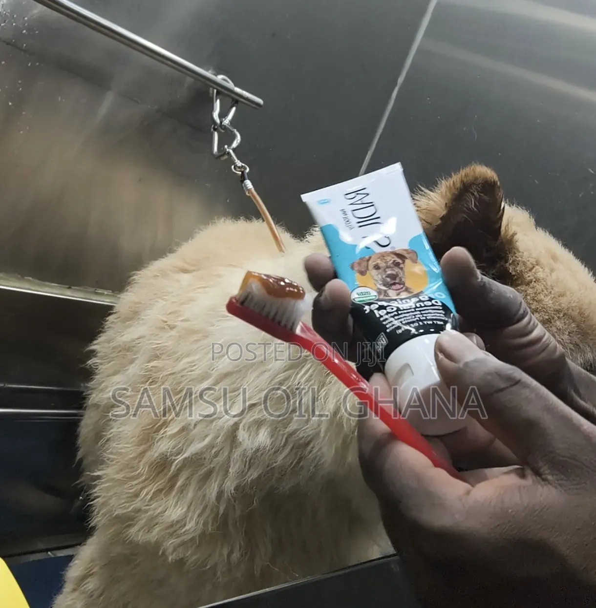 Pet Grooming in Accra Ghana | Dogs & Cats