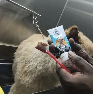 Pet Grooming in Accra Ghana | Dogs & Cats