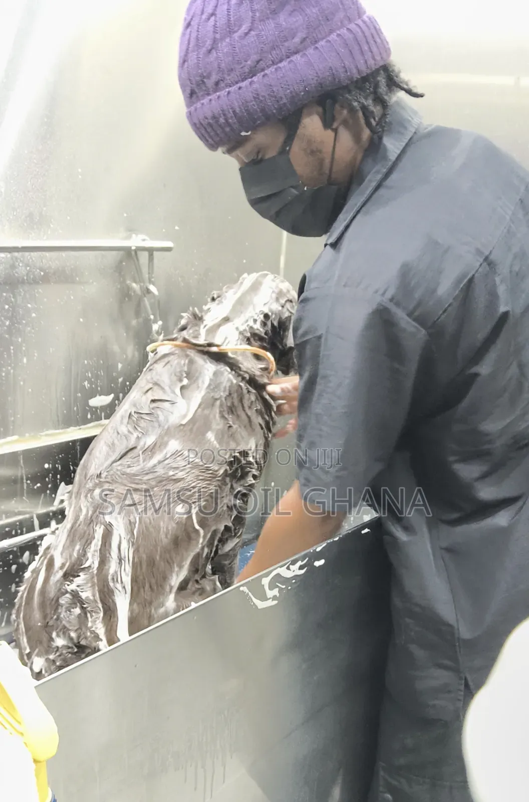 Dog and Cat Grooming Salon in Accra Ghana