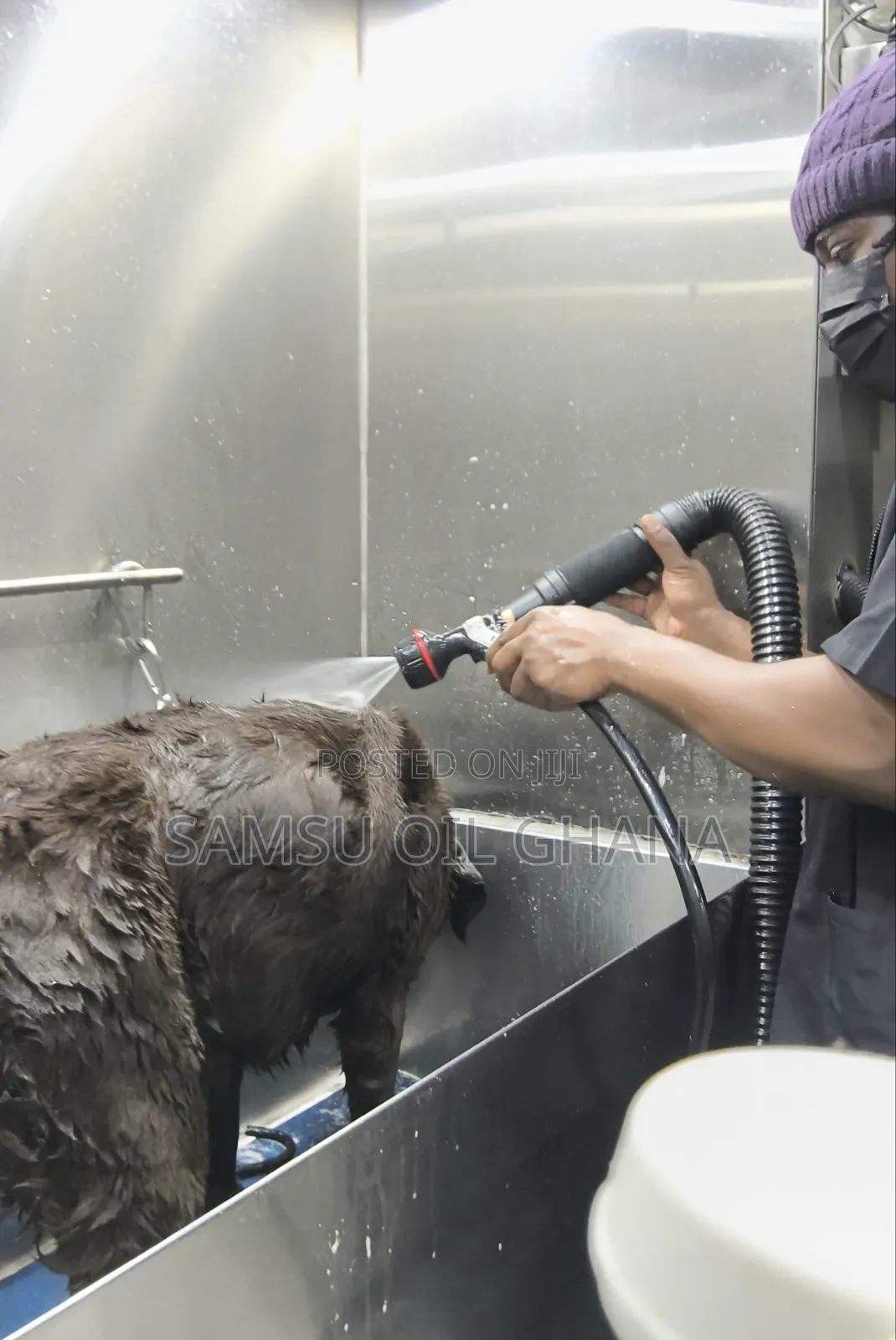 Dog and Cat Grooming Salon in Accra Ghana